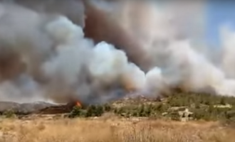 Ρόδος: Σε ύφεση η πυρκαγιά (βίντεο)