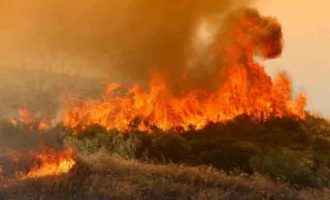 Ποιες περιοχές κινδυνεύουν από πυρκαγιές την Πέμπτη