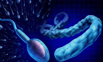 Πάνω από 1 χρόνο μένει ο ιός Έμπολα στο σπέρμα