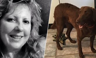 Αυτή είναι είδηση: Σκύλος μαχαίρωσε γυναίκα!