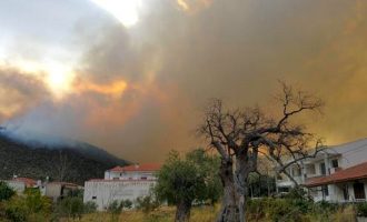 Κόλαση φωτιάς στη Θάσο: Κάηκαν σπίτια – Σε κατάσταση έκτακτης ανάγκης το νησί