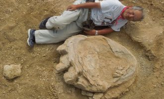Βρέθηκε απολιθωμένη πατημασιά δεινοσαύρου μήκους ενός μέτρου
