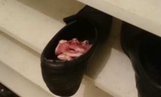 Δύο μεθυσμένοι Πολωνοί έβαζαν μπέικον σε παπούτσια μουσουλμάνων σε τζαμί στο Λονδίνο