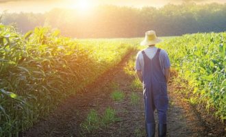 Αγροτική πολιτική – Οι άξονες μιας εναλλακτικής πορείας