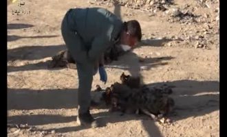 Εικόνες ΣΟΚ! Νέος ομαδικός τάφος με 200 θύματα του ISIS στη Μοσούλη (βίντεο)