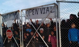 Στα άκρα το δημοτικό συμβούλιο Χίου: Να φύγουν οι πρόσφυγες, με εξαίρεση τη ΒΙΑΛ