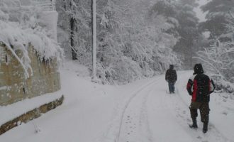 Κύμα χιονιά προβλέπουν οι μετεωρολόγοι – Πού θα το “στρώσει”