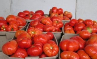 Κατασχέθηκαν έξι τόνοι ντομάτες με υπολείμματα φυτοφάρμακου