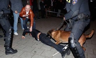Οι Ολλανδοί έριξαν τους Τούρκους στα σκυλιά – Φωτο+βίντεο ΣΟΚ: Τουίταρε και ο Τσαβούσογλου