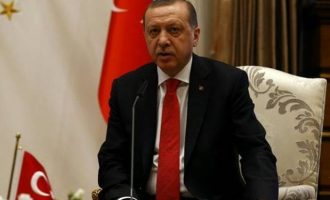 Όλο και… καλύτερα τα πάει ο Ερντογάν: Κατηγόρησε τη Μέρκελ για λαϊκισμό