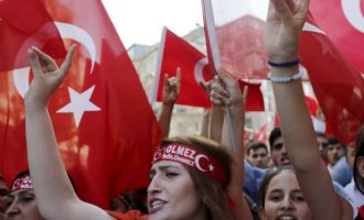 Το 80% των Γκρίζων Λύκων ψήφισε “όχι” στη σουλτανοποίηση Ερντογάν