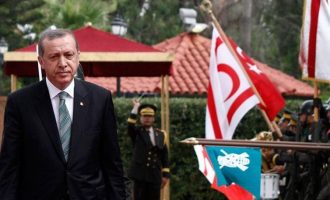FAZ: Τι πραγματικά θέλει ο Ερντογάν για τα κατεχόμενα – Προσάρτηση ή κράτος μαριονέττα;
