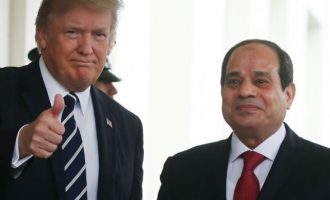 Πριν πατήσει ο Ερντογάν στον Λευκό Οίκο ο Τραμπ τηλεφώνησε στον Αιγύπτιο Πρόεδρο και τον καθησύχασε
