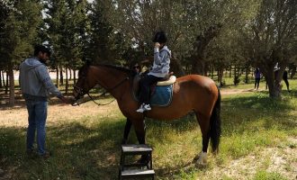 Μαρκόπουλο: Βόλτες με άλογα και διασκεδαστικές δραστηριότητες στον ιππόδρομο στις 5 Ιουλίου