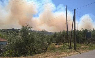 Μεγάλη πυρκαγιά στη Μεσσηνία – Οι φλόγες πλησιάζουν σπίτια