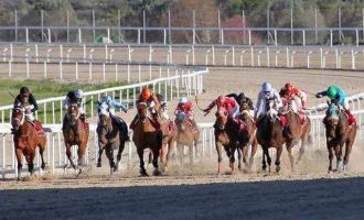 71ο Ελληνικό Ντέρμπι ΟΠΑΠ – Η κορυφαία ιπποδρομία του 2017 στο Μαρκόπουλο