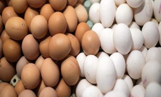 Φουντώνει το διατροφικό σκάνδαλο: 700.000 μολυσμένα αυγά έχουν εισαχθεί μόνο στη Βρετανία