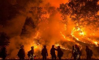 Καίγονται Ελλάδα, Γαλλία (Κορσική) και Πορτογαλία – Οι Πορτογάλοι μιλάνε για εμπρησμούς
