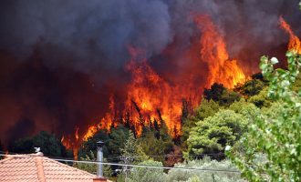 Ζάκυνθος: Για δεύτερη μέρα καίει η πυρκαγιά – Καταστράφηκαν σπίτια και καλλιέργειες