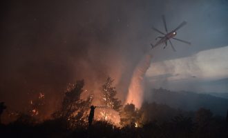 Συνεχής επικοινωνία Τόσκα-Τσίπρα για τις πυρκαγιές – Υπόνοιες για σχέδιο εμπρηστών