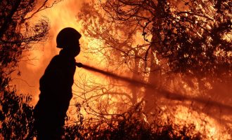 Νύχτα-κόλαση σε Κάλαμο και Ζάκυνθο – Μαίνονται ανεξέλεγκτες οι μεγάλες πυρκαγιές