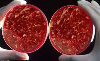 Εταιρία θα παράγει τεχνητό κρέας