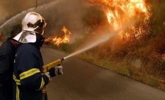 Υπό έλεγχο η πυρκαγιά στα Σιμωτάτα Κεφαλονιάς