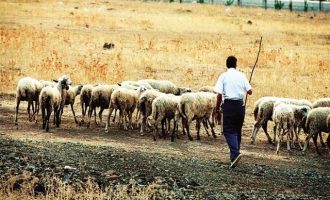 Εξόφληση αγροτών σε δύο μήνες – Τι προβλέπει νομοσχέδιο του υπ. Αγροτικής Ανάπτυξης