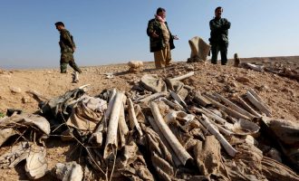Βρέθηκε ομαδικός τάφος με 40 τζιχαντιστές στην Ταλ Αφάρ