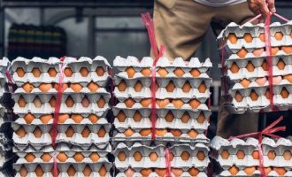 Τι λέει ο ΕΦΕΤ για τα μολυσμένα αβγά που έφθασαν στην Ελλάδα