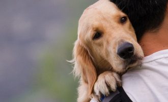 Σουηδοί επιστήμονες: Όσοι έχουν σκύλο δεν παθαίνουν εύκολα  έμφραγμα