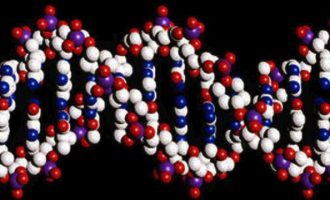 Απίστευτο αλλά αληθινό: “Βιοχάκερ” άρχισαν να τροποποιούν το DNA τους