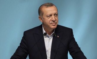 Ρετζέπ Ταγίπ Ερντογάν: Η χερσαία επιχείριση της Τουρκίας στην Εφρίν ξεκίνησε «ντε φάκτο»