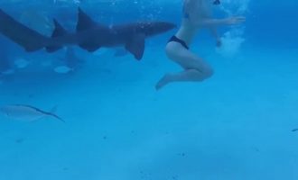 Καρχαρίας επιτέθηκε σε Αμερικανίδα σε πισίνα ξενοδοχείου (βίντεο)