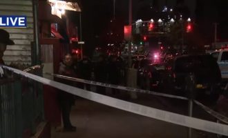 Αστυνομικοί σκότωσαν άνδρα με ξύλινη ματσέτα στη Ν. Υόρκη – Τι βρέθηκε στο σπίτι του