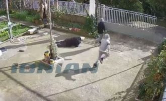 Καρέ καρέ η στιγμή που ανήλικοι Ρομά χτυπούν και ληστεύουν ηλικιωμένη στη Σπάρτη (βίντεο)