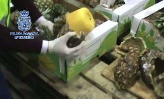 Προσπάθησαν να “ρίξουν” κόκα στην Ευρώπη με… ναρκω-ανανάδες (βίντεο)