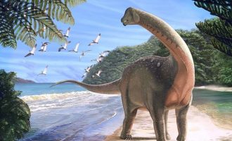 Ανακαλύφθηκε σπάνιος δεινόσαυρος με μήκος λεωφορείου στην Αίγυπτο
