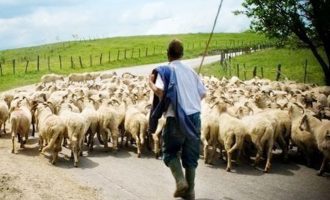 DLF: «Ελληνικές κατσίκες, Αλβανοί βοσκοί»