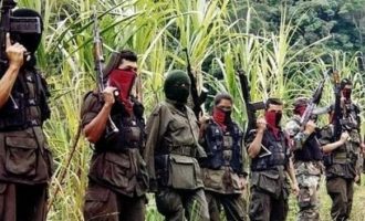 Κολομβιανοί αντάρτες απήγαγαν άλλους δύο πολίτες του Ισημερινού