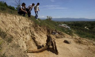 Βρέθηκε «γίγαντας» προϊστορικός ελέφαντας 8 εκατομμυρίων ετών στα Σκόπια