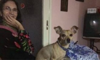 Τραγική κατάληξη για 75χρονη – “Φρουρός” ο σκύλος δίπλα στην νεκρή αφεντικίνα του