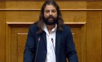 Βουλευτής της Χρυσής Αυγής κάλεσε το στρατό να συλλάβει Τσίπρα-Καμμένο-Παυλόπουλο (βίντεο)