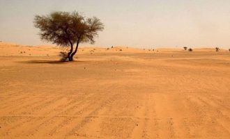 Καταγγελίες σοκ: Η Αλγερία άφησε 13.000 μετανάστες να πεθάνουν στη Σαχάρα
