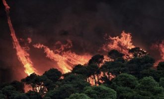 Υπό έλεγχο τέθηκε μεγάλη πυρκαγιά στην Κύπρο – Συνελήφθη «ύποπτος» 35χρονος