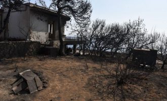 Πολίτης κατέθεσε μήνυση για την πυρκαγιά στην ανατολική Αττική