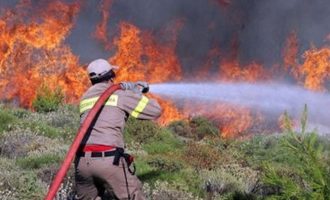 Δήμαρχος Ραφήνας: Υπάρχουν νεκροί από τη φωτιά