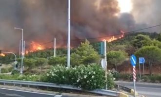 Ανεξέλεγκτη η φωτιά: Στις φλόγες Νέος Βουτζάς, Άγιος Ανδρέας και Μάτι – Κάηκαν σπίτια (βίντεο)