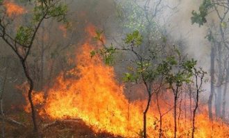 Εκκενώνονται οικισμοί και κατασκηνώσεις σε Λουτράκι και Κορινθία λόγω πυρκαγιάς