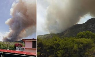 Μεγάλη πυρκαγιά πάνω από την Κινέττα – Καπνοί έφθασαν στην Αττική